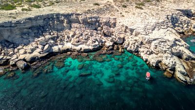 Ponant will be offering experiential cruises in the Sea of Cortez in 2027.